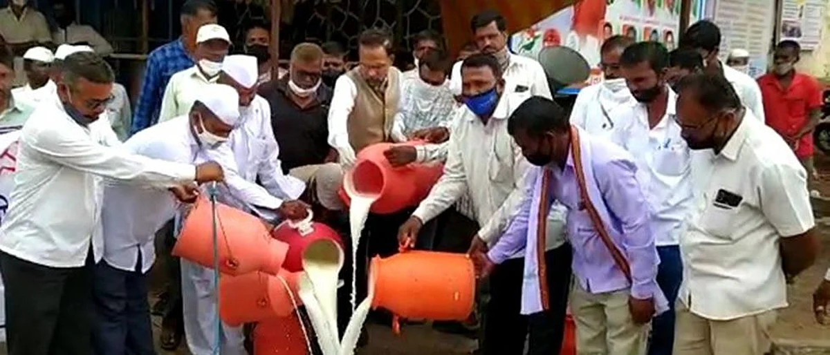 दूधप्रश्नी शेतकरी आक्रमक; राज्यभरात निदर्शने