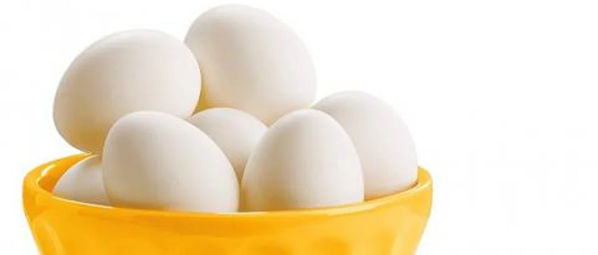 eggs