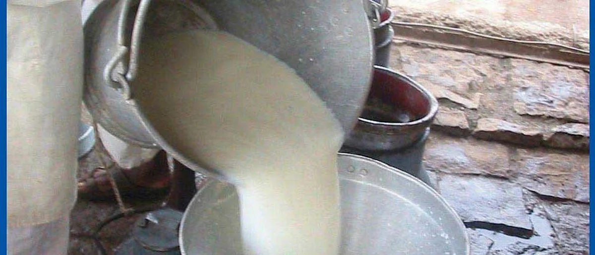 Investigate corruption in co-operative milk unions