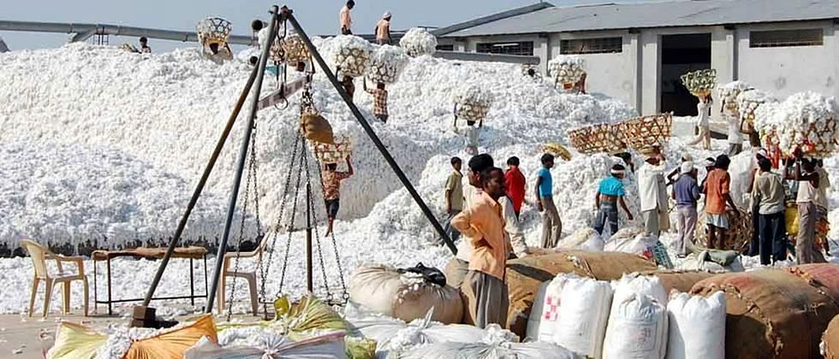 Cotton Rate
