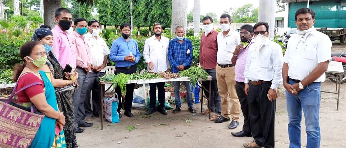 Spontaneous response of consumers to the purchase of legumes in Aurangabad