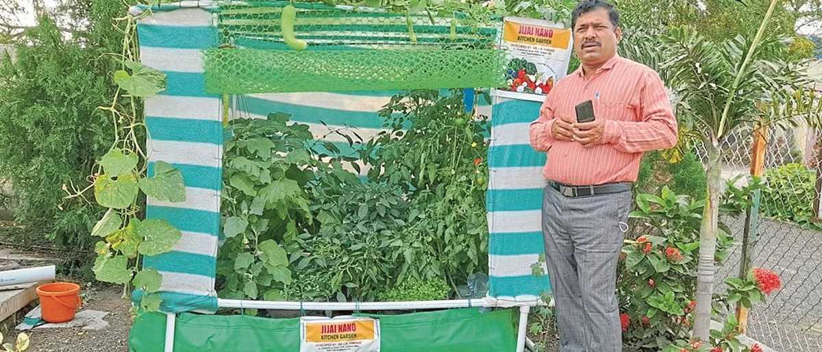 घरच्या घरी भाजीपाल्यासाठी ‘जिजाई नॅनो किचन गार्डन’
