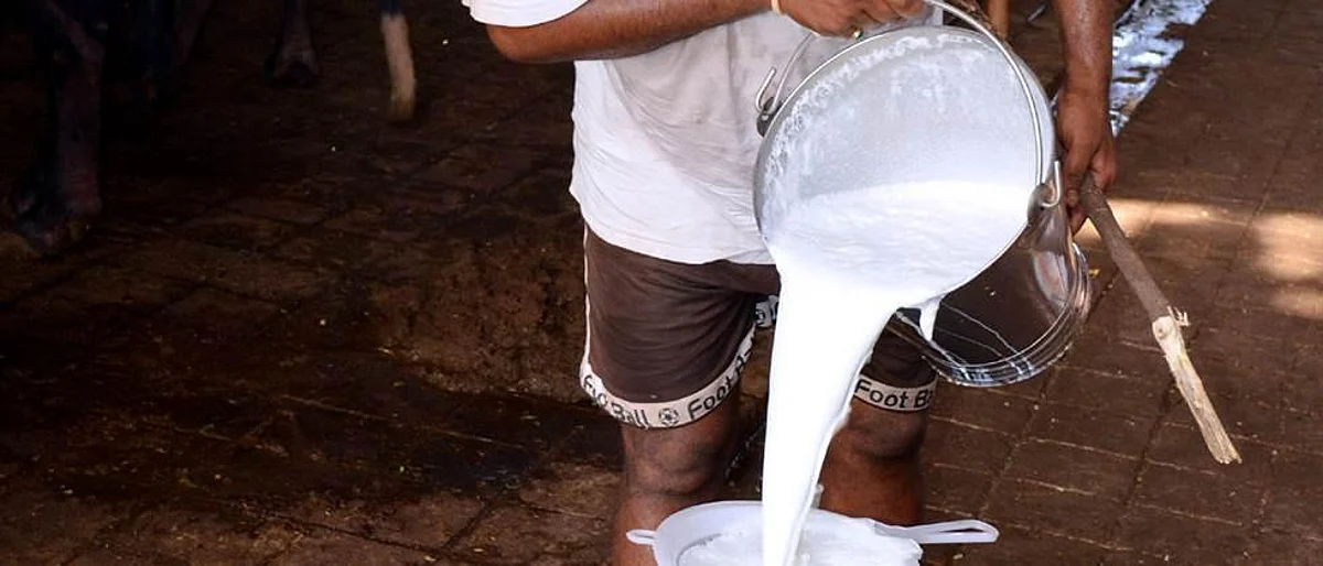 डेअरी उद्योगातील खरेदीदराचा गोंधळ कायम