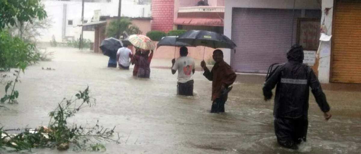 गडचिरोलीत पाऊस
