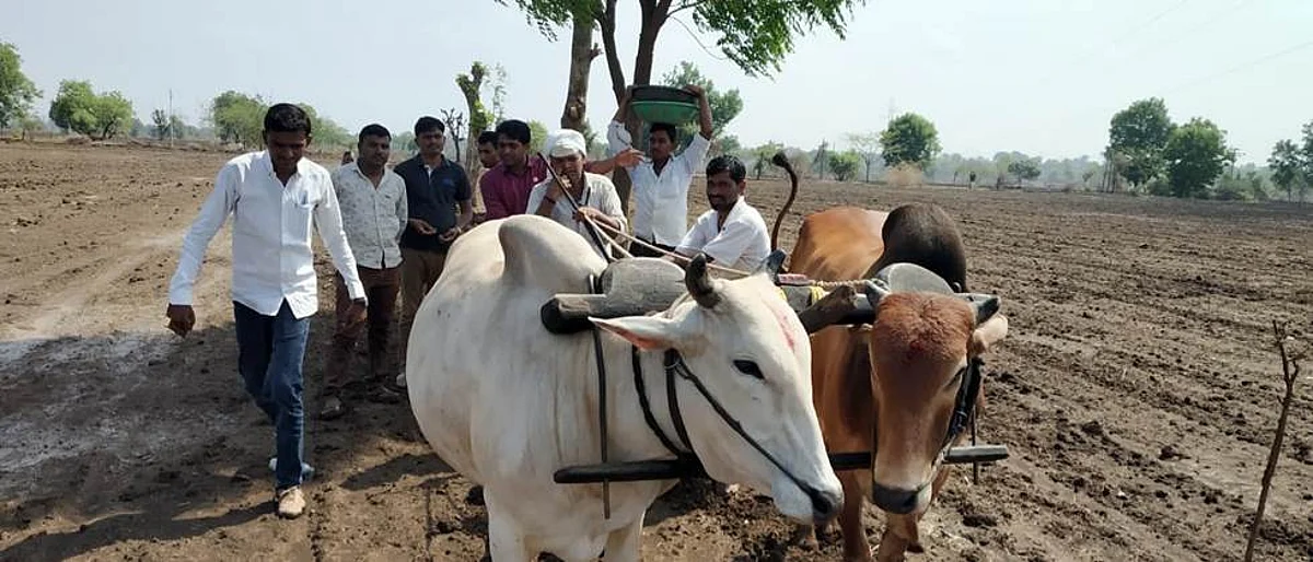 `स्वाभिमानी`ने केली दगड पेरणी