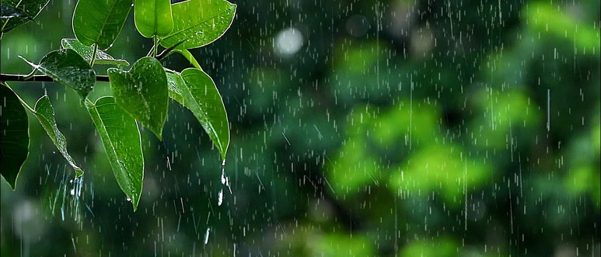 22 तारखेला कुठे होणार पाऊस?
