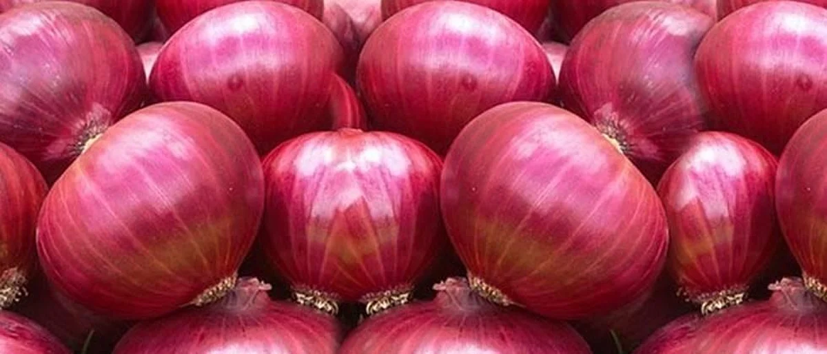 Onion