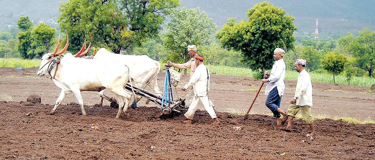 Farming