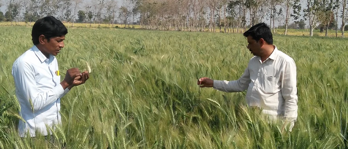 Farmer training