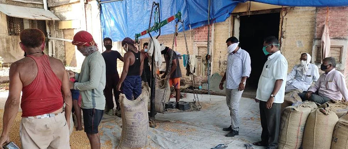 Maize procurement center starts on Tuesday at Rs. 1870 per quintal