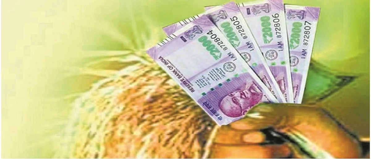 खानदेशात पीक कर्ज वितरण अत्यल्प राष्ट्रीयीकृत बँकांचा हात आखडता