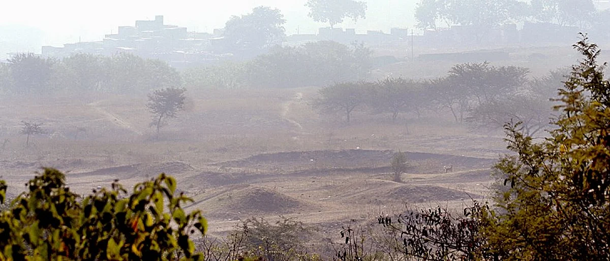 थंडीची लाट ओसरली