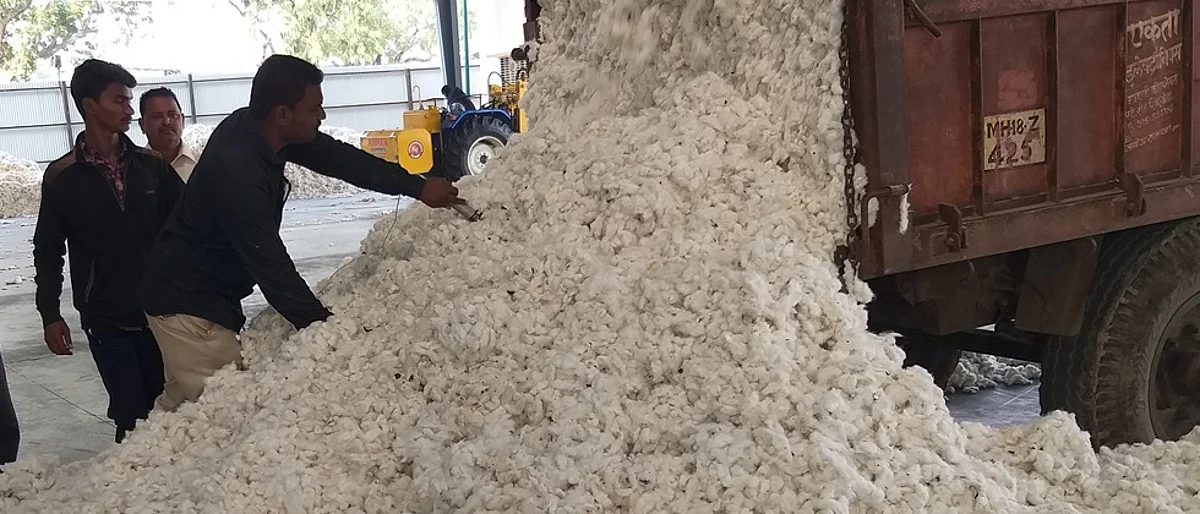 Cotton Market