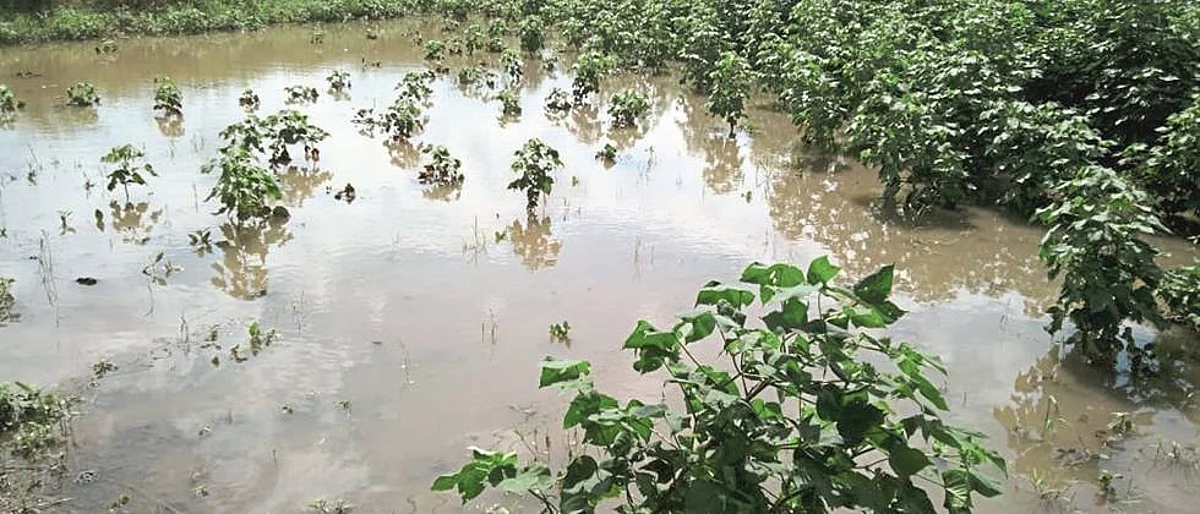 To the flood victims in Khanadesha Compensation will be given soon