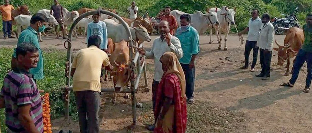 गावाचा चेहरामोहरा बदलण्याचे प्रयत्न