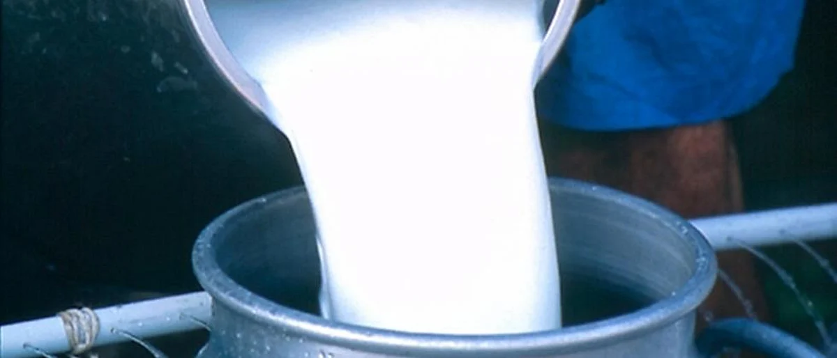 Mother Dairy