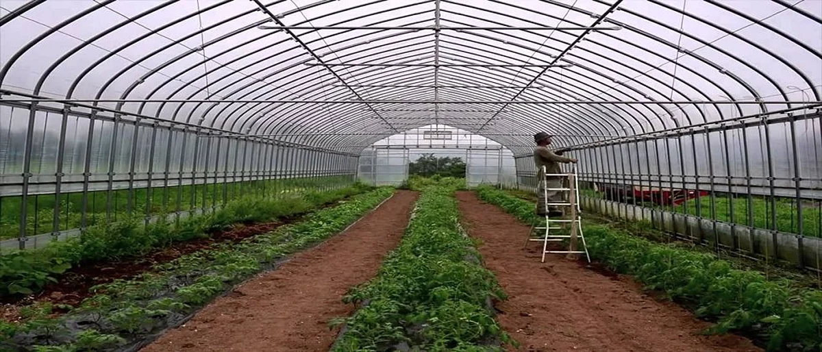 Green House