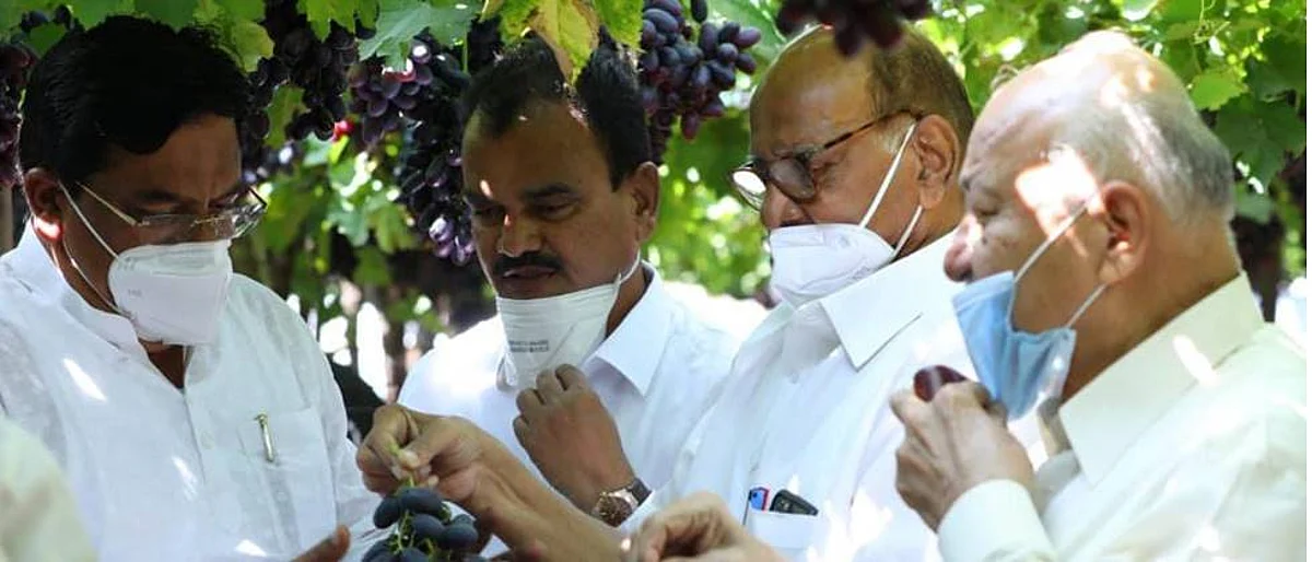 sharad pawar