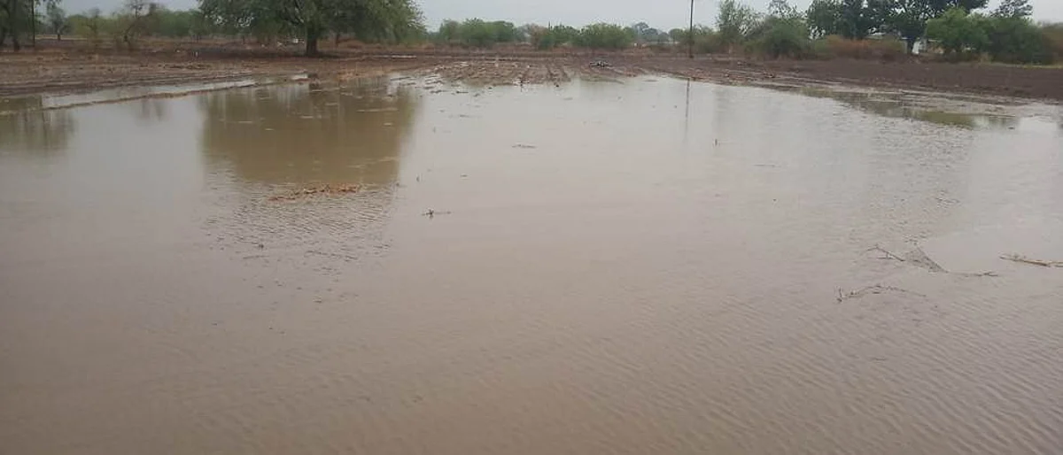 मराठवाड्यातील १९८ मंडळांत पाऊस