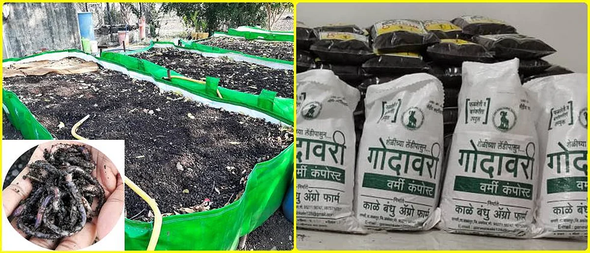 शेळीच्या लेंडीपासून गांडूळ खतनिर्मिती.