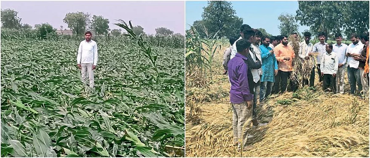 वऱ्हाडात हातातोंडाशी आलेला घास हिरावला
