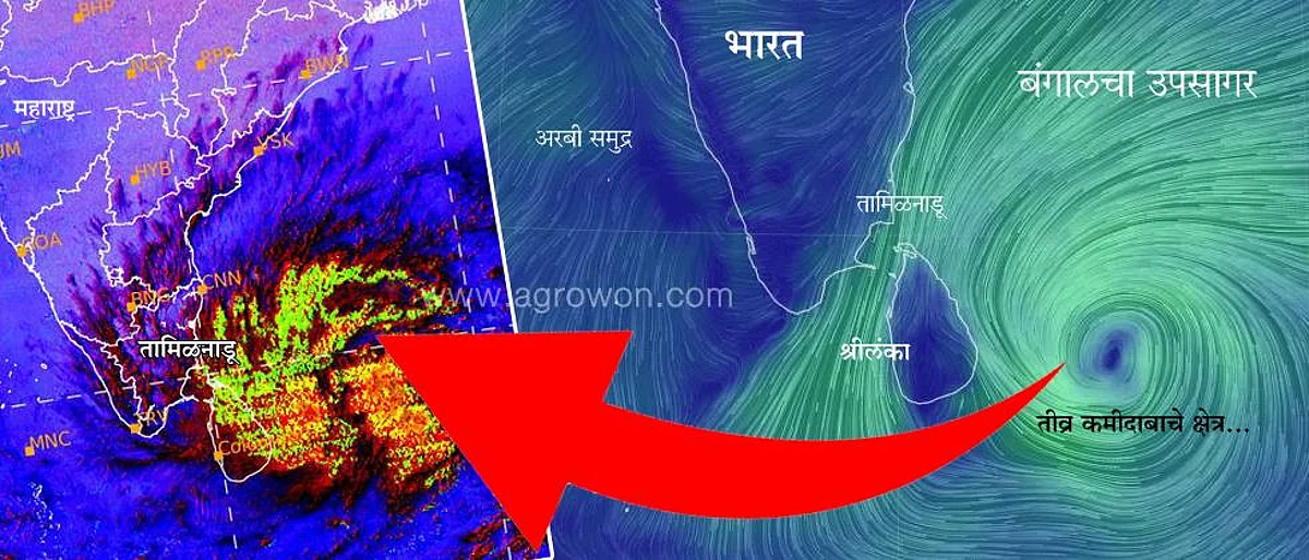बंगालच्या उपसागरात चक्रीवादळ सक्रिय;थंडी वाढणार