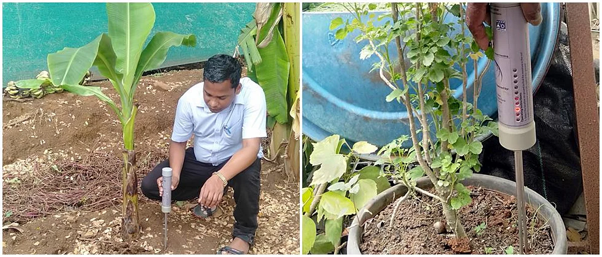 जमिनीतील ओलावादर्शक उपकरण