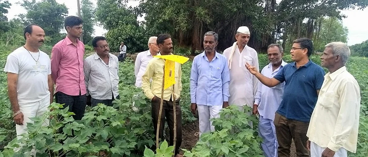 एकात्मिक कीड नियंत्रणासाठी स्वयंचलित प्रभावी सापळा विकसित