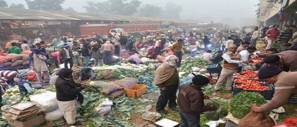 नाफेड उभारणार १०० बायोसीएनजी प्लॅंट