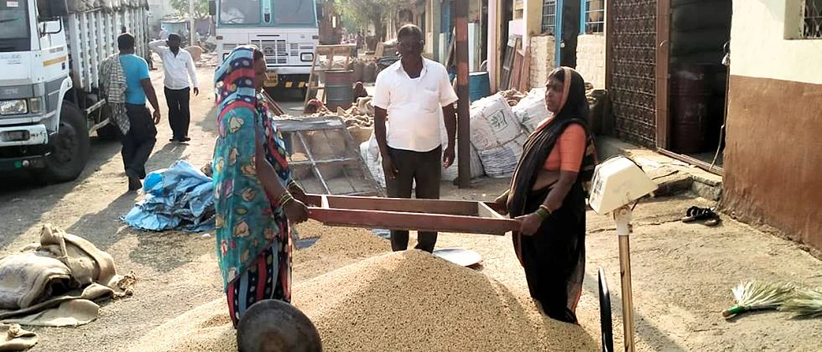 लातूरला सोयाबीनचा भाव साडे पाच हजारावर