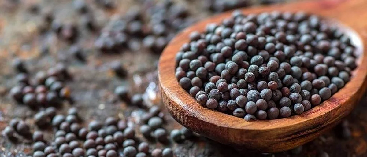 मोहरीच्या वायदेवापसीची मागणी का होतेय?