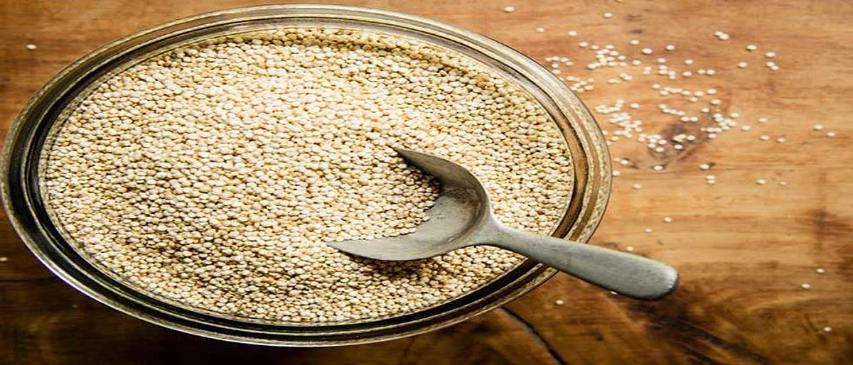 पौष्टिक आहारासाठी क्विनोआ
