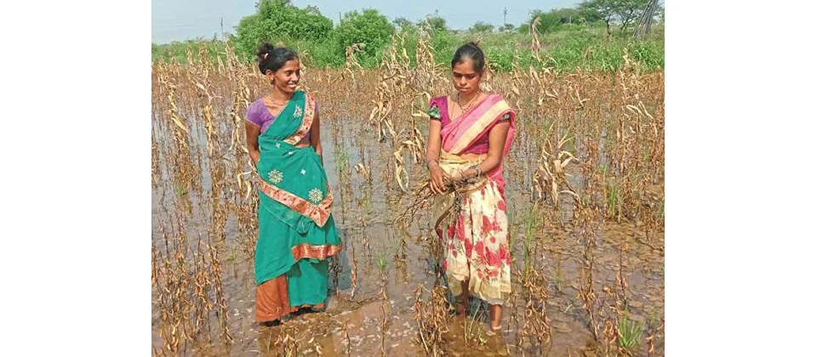 In many places in Nagar district, there is no panchnama of loss