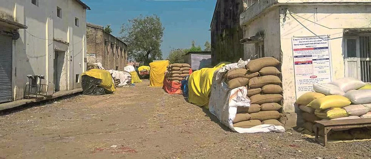 जागेअभावी संग्रामपुरात पाच दिवसांपासून मका खरेदी बंद Maize purchase stopped for five days in Sangrampur due to lack of space