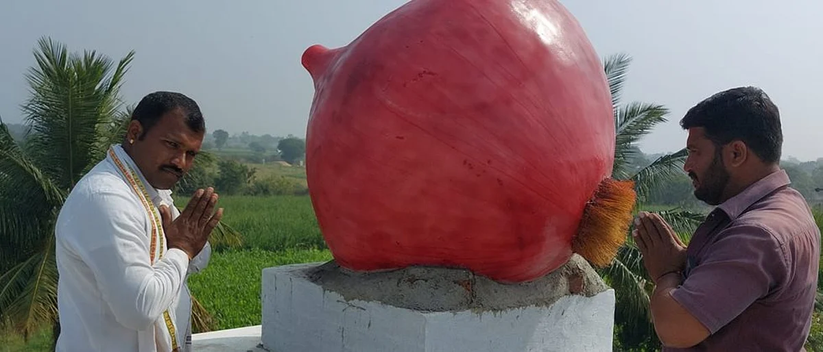 कांदाच बनला टुमदार बंगल्याची ओळख