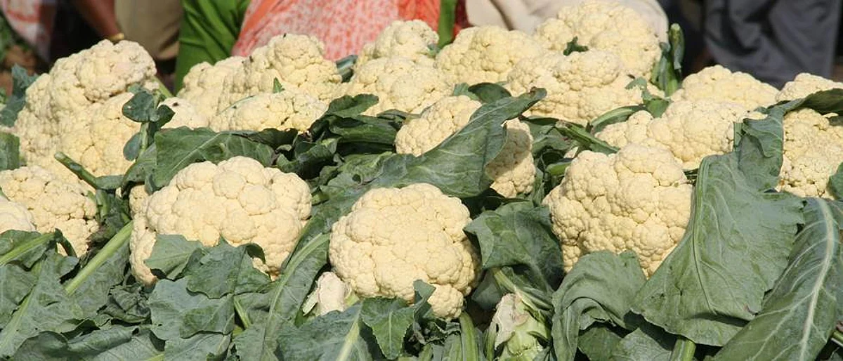 Cauliflower