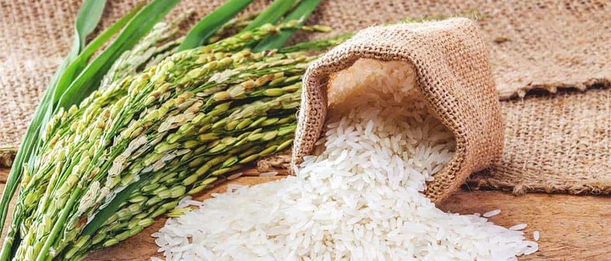 Increase in paddy purchase rate on farmers' diet