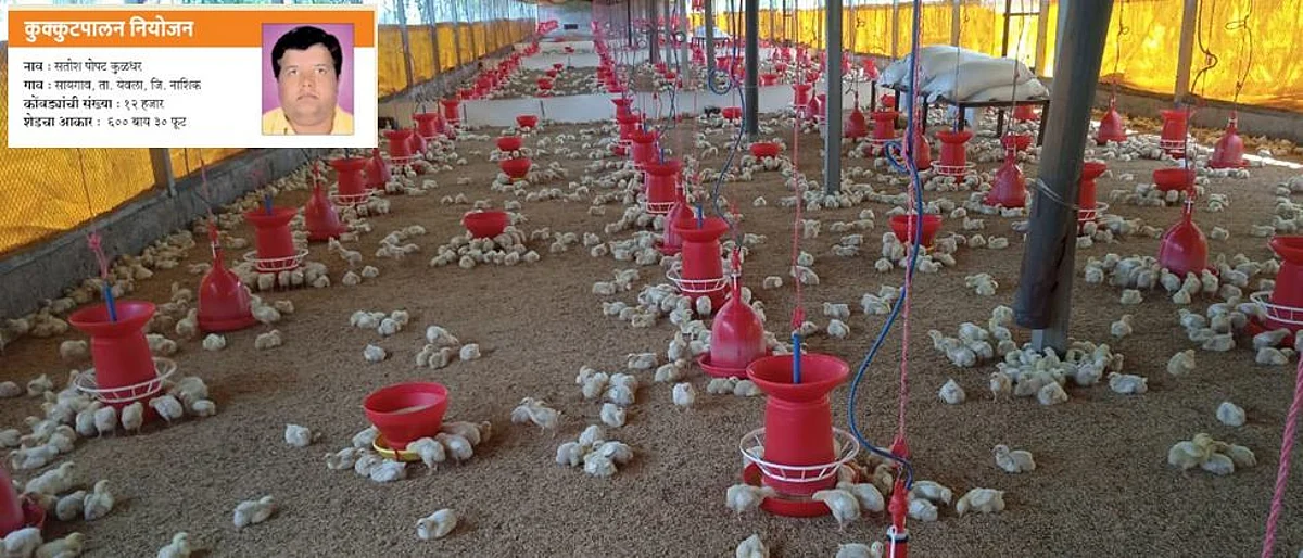 Poultry planning
