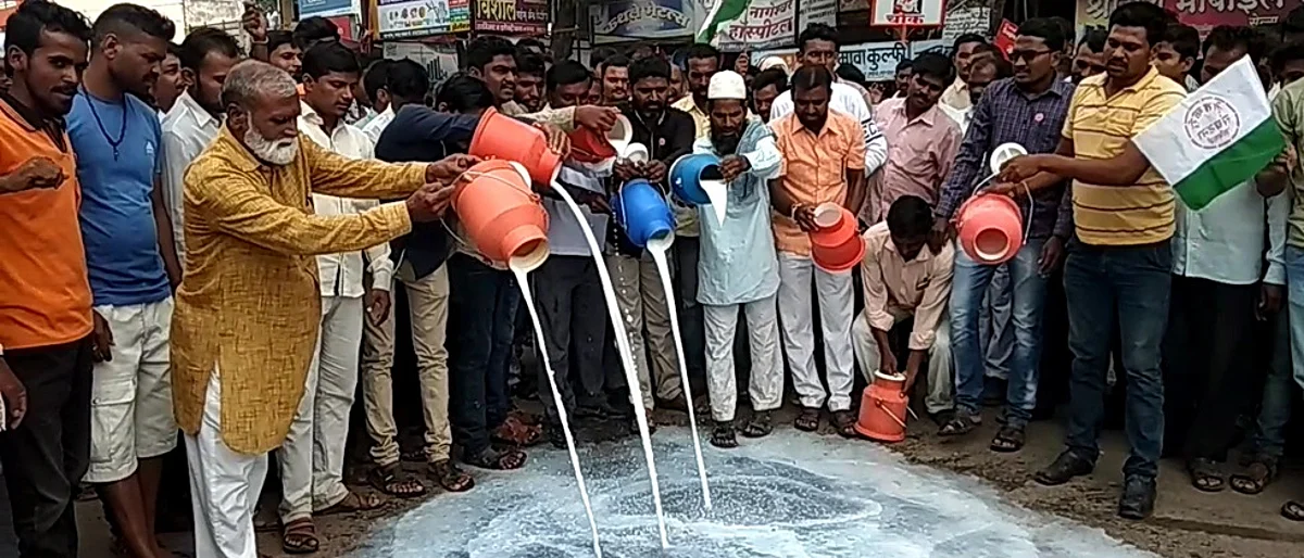 बुलडाणा ः संग्रामपूर तालुक्यातील वरवट बकाल येथे आंदोलन करीत रस्त्यावर दूध अोतताना शेतकरी व संघटनेचे पदाधिकारी.
