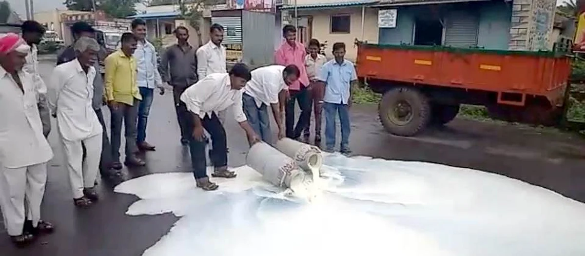 रस्त्यावर दूध ओतून शासनाचा निषेध