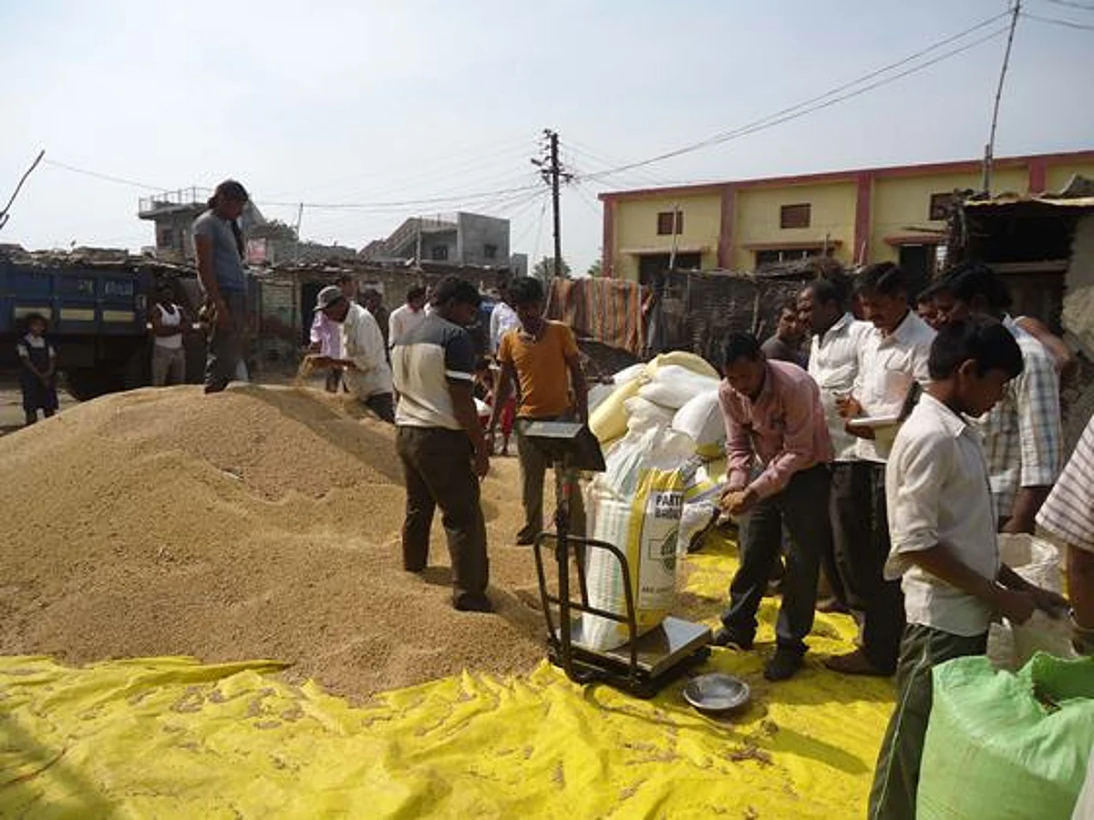 उत्पादक कंपनीच्या संचालक मंडळाचे कार्य