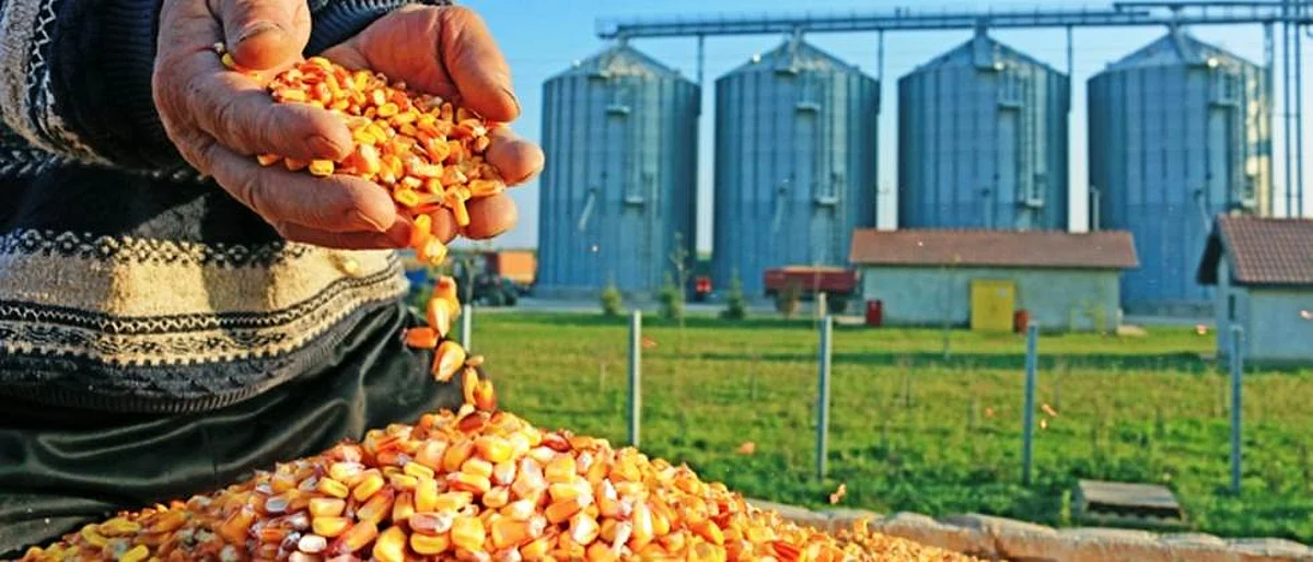 Agriculture Processing