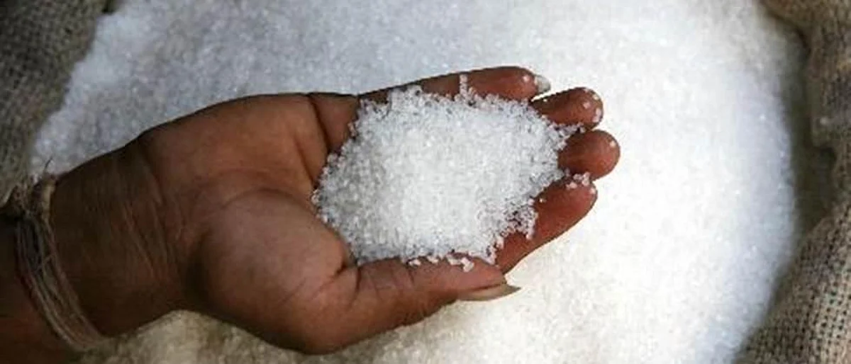 The ‘sweetness’ of sugar exports increased