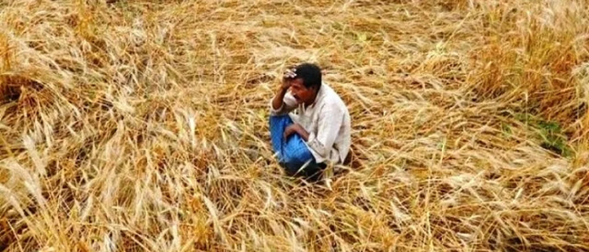 मध्यप्रदेश सरकारची शेतकऱ्यांना प्रति हेक्टर ३० हजारांची मदत