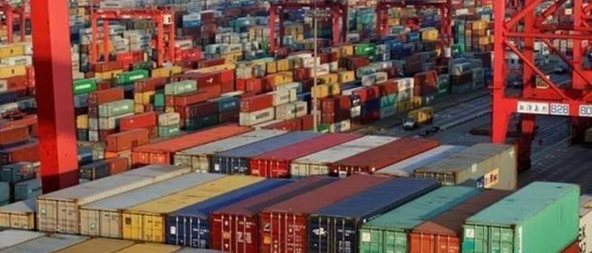 Agriculture Export