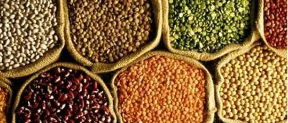 उन्हाळी पिकांच्या क्षेत्रात २९ टक्के वाढीचे उद्दिष्ट