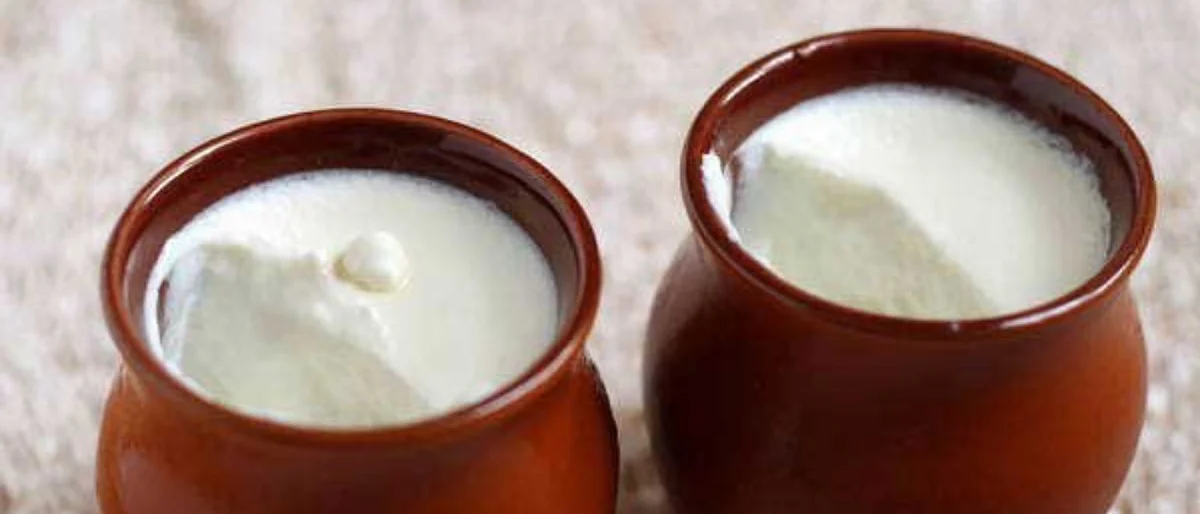 Probiotic Curd