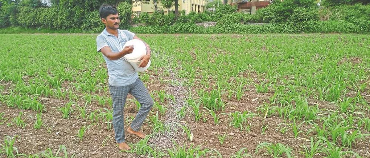 खतांच्या दरात मोठी वाढ