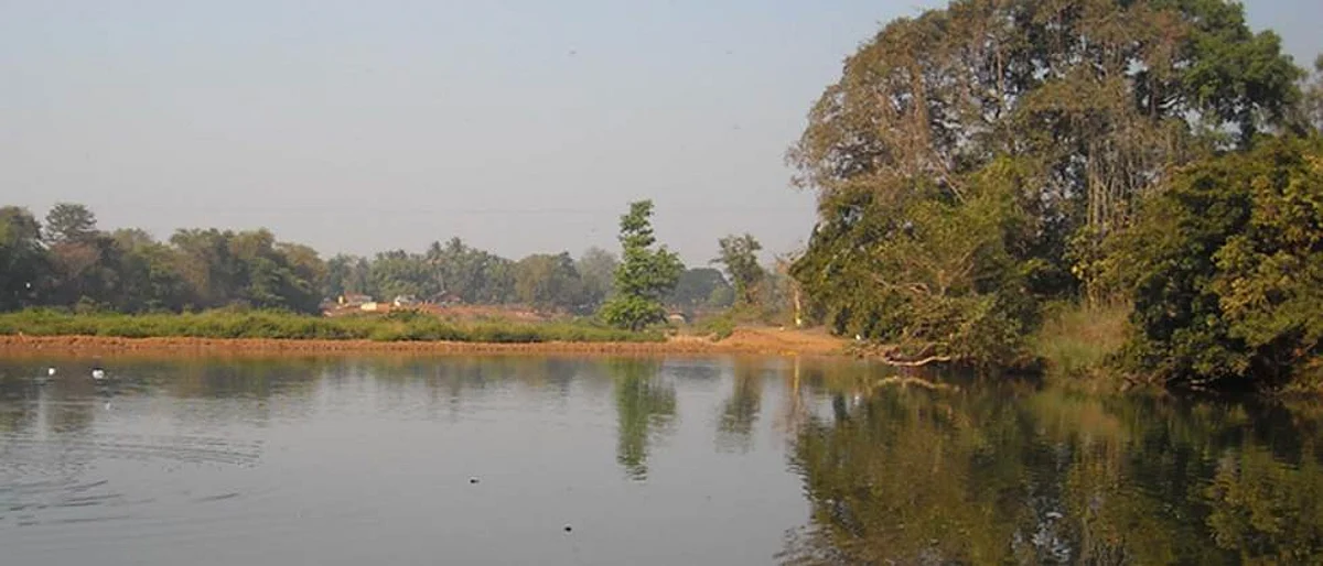 Fisheries through the small dams of the Jambhulani Gram Panchayat