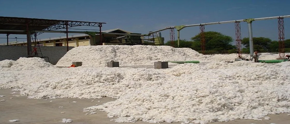 Cotton Rate